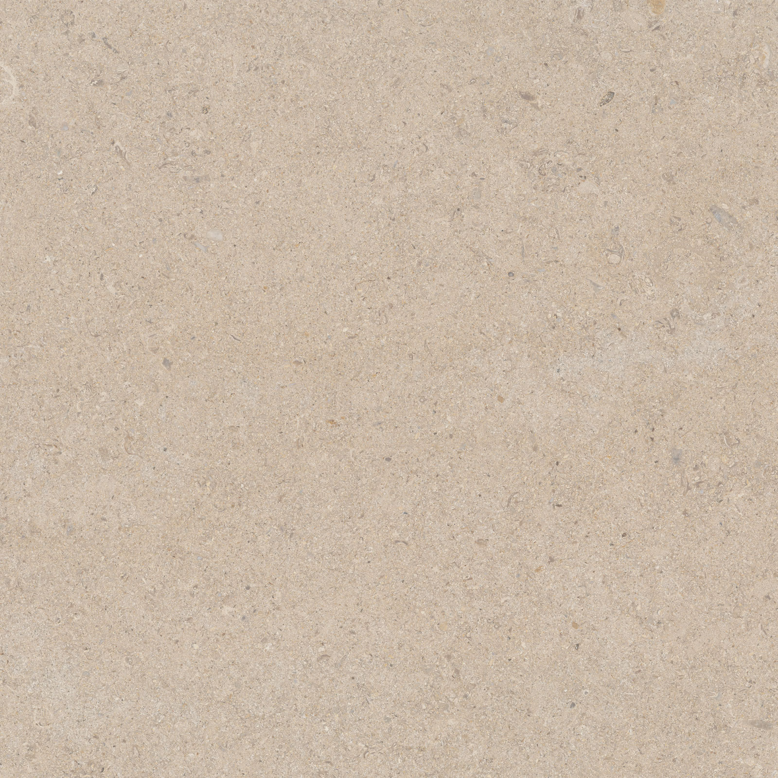 CALCARE SAND 60X60(T)C REC