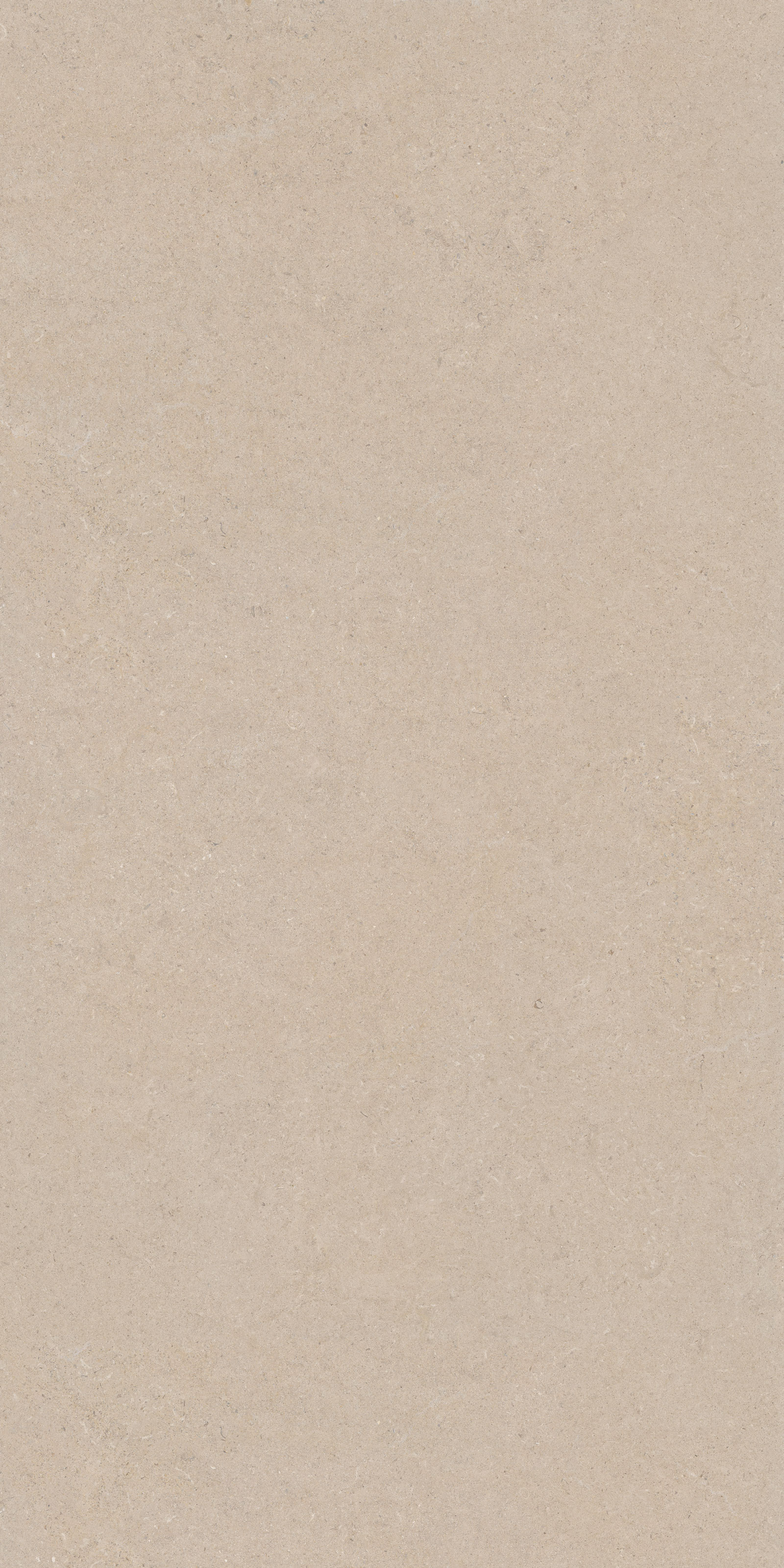 CALCARE SAND 120×280(6mm) REC